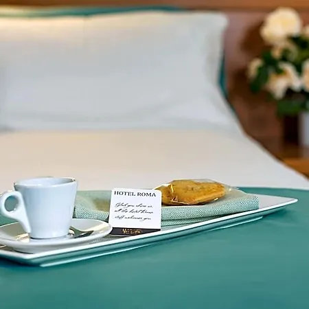 Hotel Roma 3*